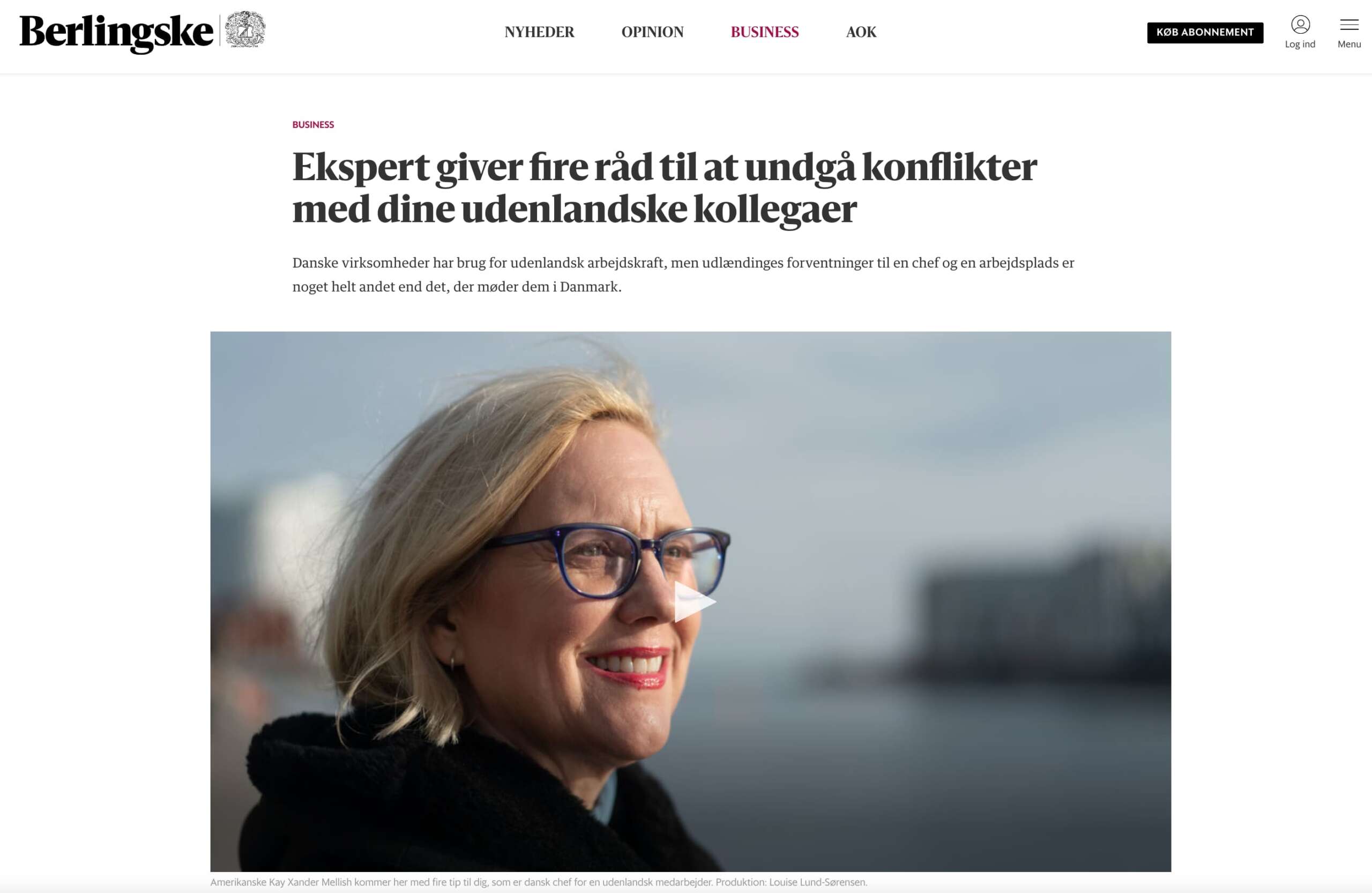 Expert Danish on working culture